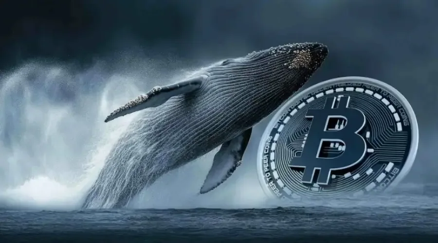 Крупный инвестор потерпел криптоубытки