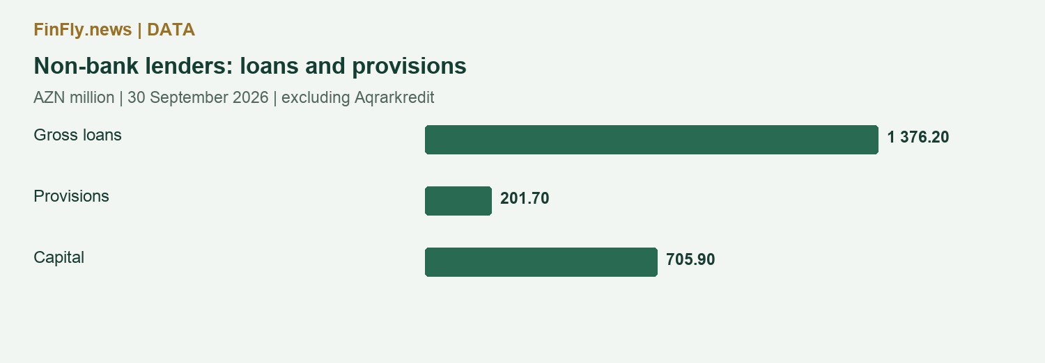 Non-bank lenders: loans and provisions