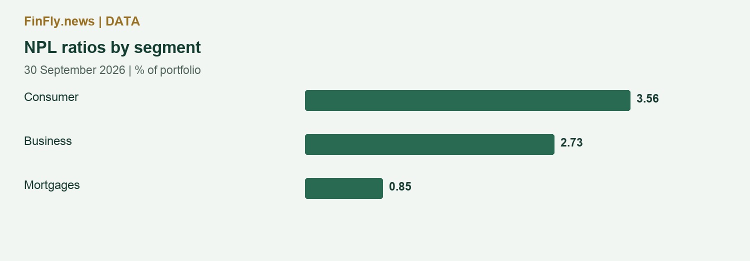 NPL ratios by segment