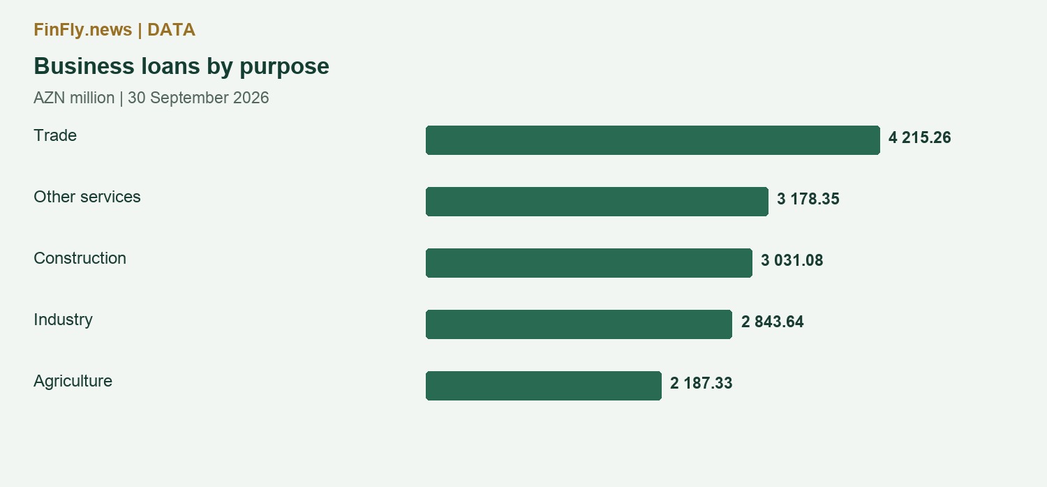 Business loans by purpose