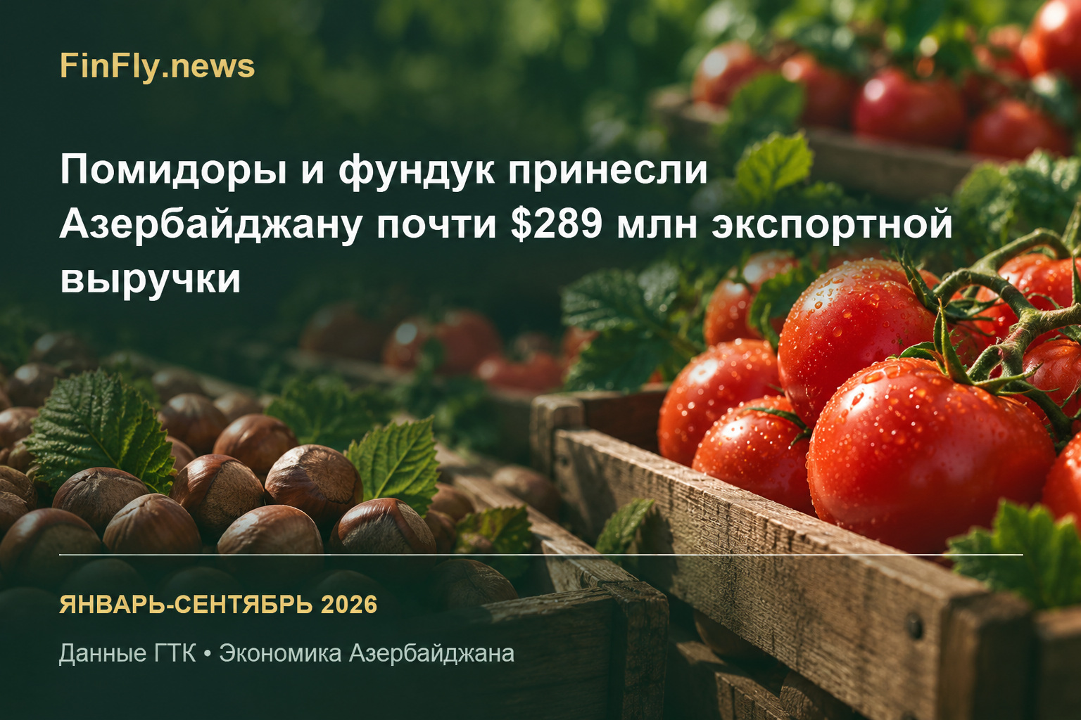 Помидоры и фундук принесли Азербайджану почти $289 млн экспортной выручки
